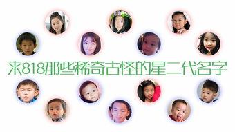 娱乐吃瓜名字叫什么好听,揭秘那些好听又独特的娱乐吃瓜名字  第2张